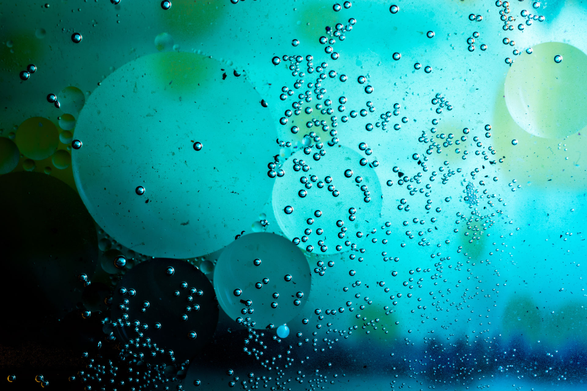 Macro shot of water oil emulsion over colored background © Adobe Stock