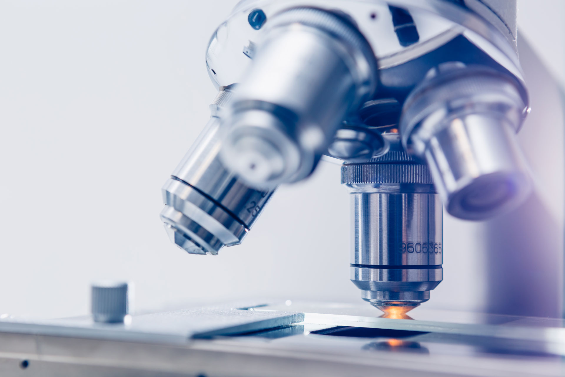 Mikroskop / Microscope © Adobe Stock