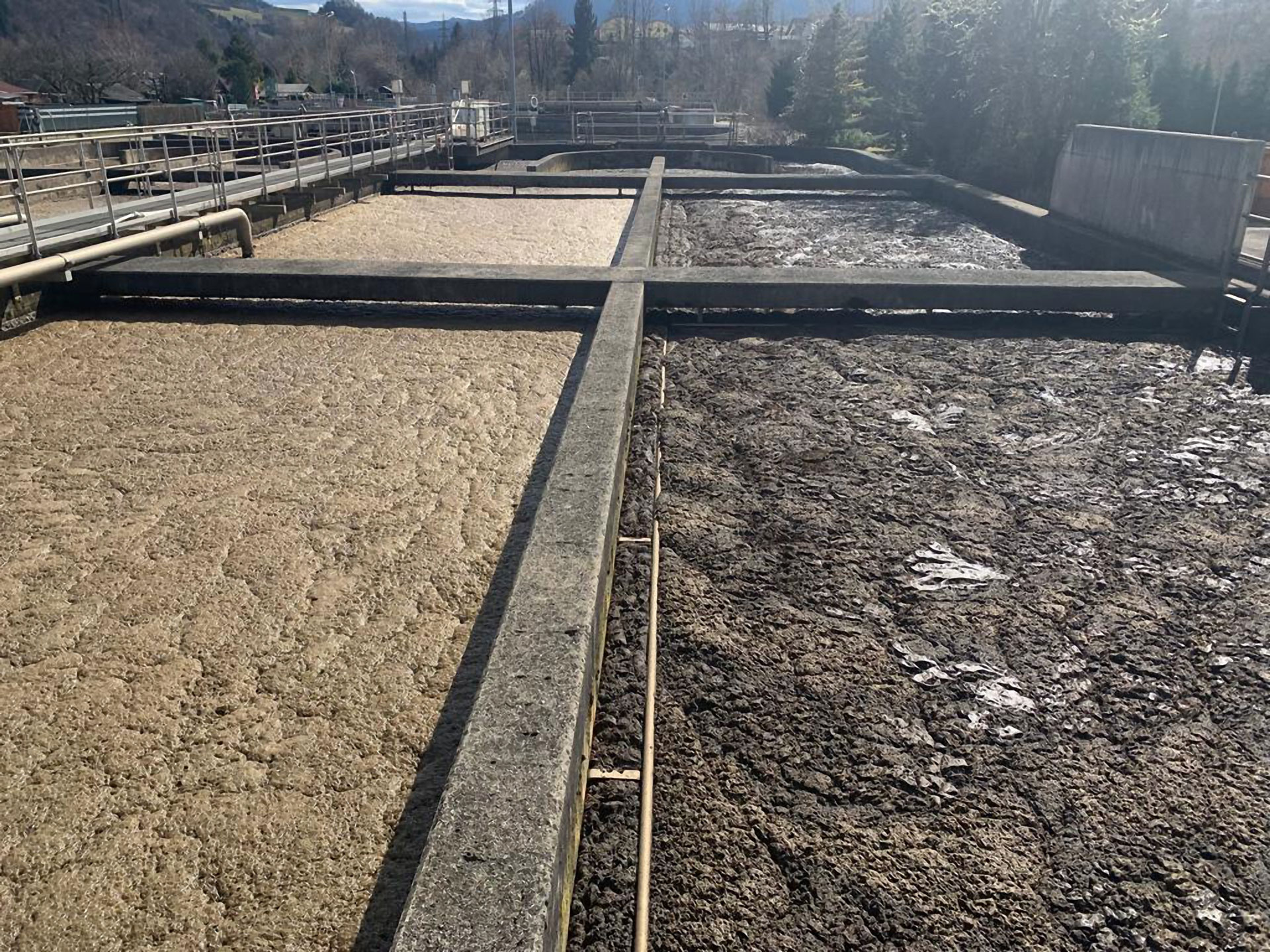 Blähschlamm / bulking sludge © BIOMONTAN GmbH