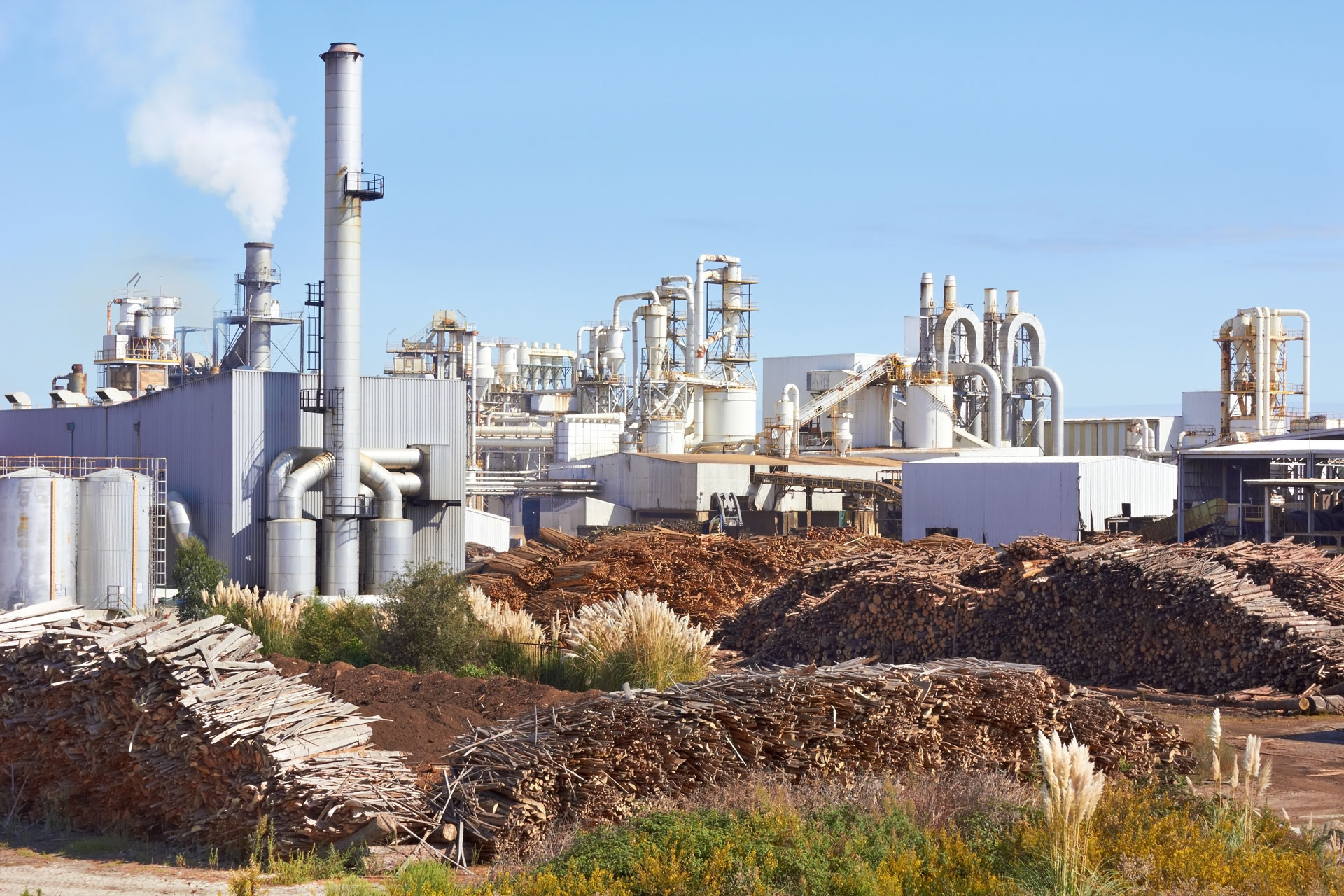 Papierfabrik / Paper mill © iStock